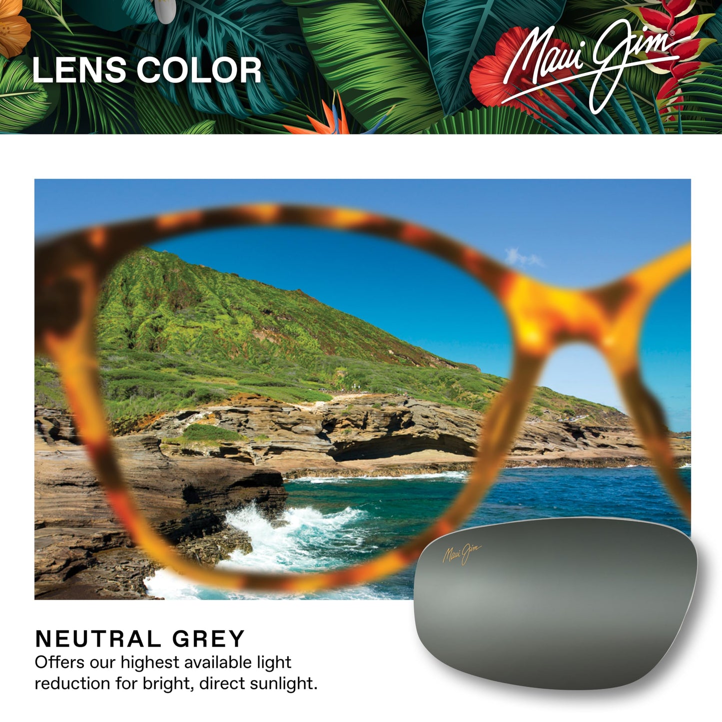 Maui Jim Starfish Polarized Cat Eye Sunglasses - Black/Tortoise Frame, Neutral Grey Lenses, Medium Fit